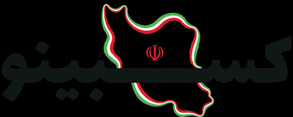 کسبینو، شبکه حرفه ای کسب و کار